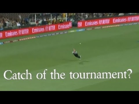 Glenn Phillips amazing catch to dismiss Marcus Stoinis | ICC WT20 2022 | Australia v New Zealand
