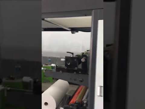 Automatic Roll To Roll Flexo Printing Machine