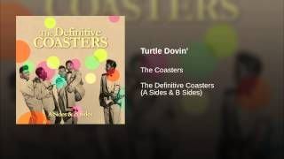 Turtle Dovin'