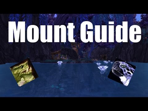 Telars Solo Mount Guide #42 Reitschildkröte & Meeresschildkröte