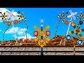 Railroad Crossing With No Reaction