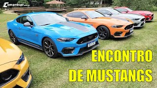 Encontro de Ford Mustangs