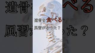 日本には遺骨を食べる風習が存在した　#shorts 【都市伝説】【オカルト】【雑学】【ゆっくり解説】【風習】【日本】【ゆっくり雑学】