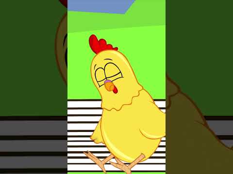 Pintinho Amarelinho - O Meu Galito [Versão Brasileira]