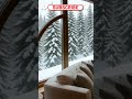 Brave Enough To Stay Here? (The Magical House)