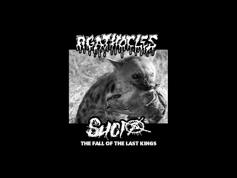 Agathocles / Sucio - "The Fall of the Last kings" (2022) (Full Split)