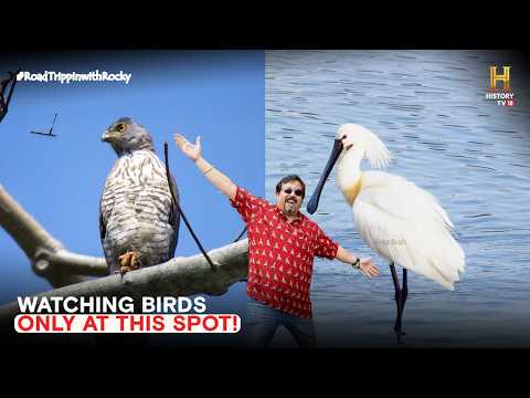Pulicat Bird Sanctuary: Where Wildlife Meets Space | #RoadTrippinwithRocky S10 | D07V01