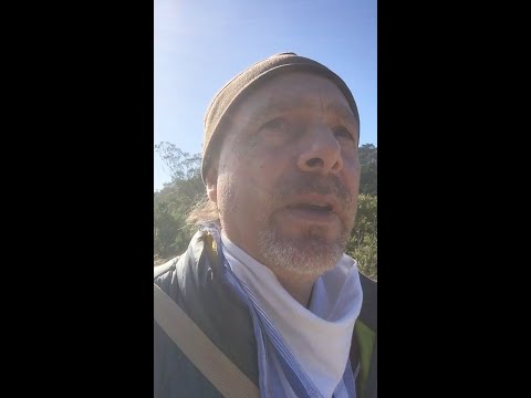 Eric Weinstein vs Tyler Cowen: The Art of Intellectual Tui Shou