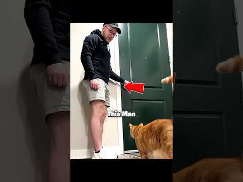 He Secretly Filmed His Cat Home Alone… The Truth Was Heartbreaking 🥹🐱❤️
