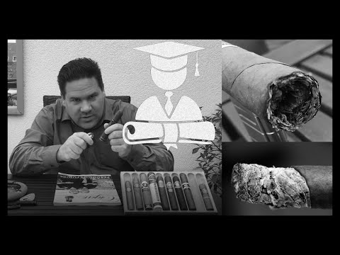 Zigarrenanalyse  | Teil 5  von 6: Abbrand und Asche | Zigarren.Akademie