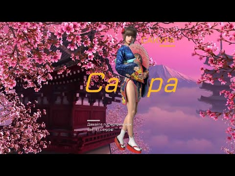 Kiss of War - Краткий обзор офицера Сакура