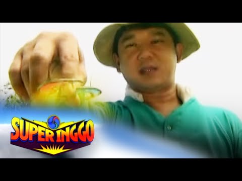 Super Inggo : Full Episode 06 | Jeepney TV