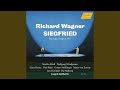 Siegfried, WWV 86C, Act III Scene 3: Dort seh' ich Grane, mein selig Roß (Live)