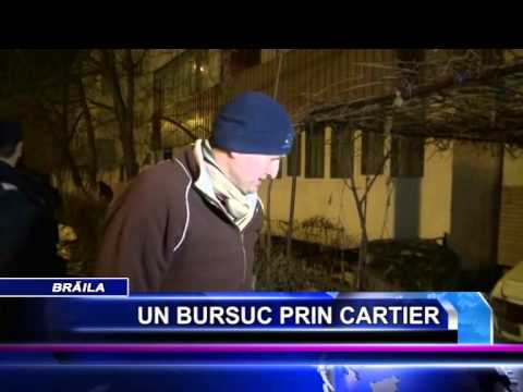 UN BURSUC PRIN CARTIER