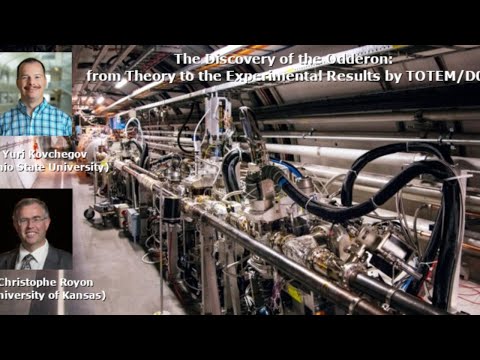 CTEQ Webinar: The Discovery of the Odderon: from Theory to the Experimental Results by TOTEM/D0