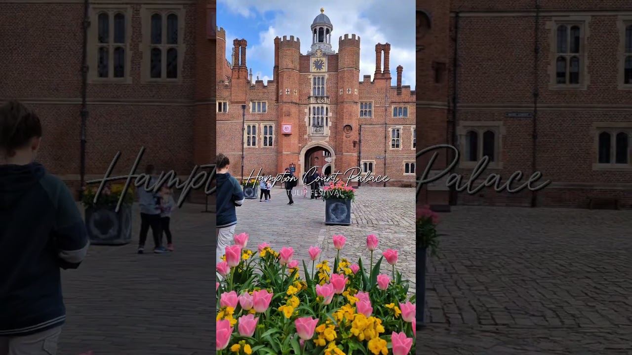 YouTube Short thumbnail