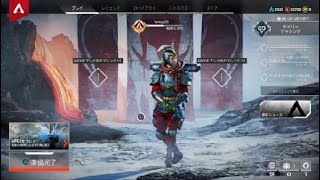 ブラックフライデーのレジェ確定2パック【Apex】