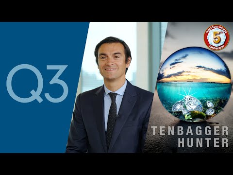 フィデリティ・世界割安成長株投信（愛称テンバガー・ハンター）設定5周年記念運用担当者来日インタビューQ3