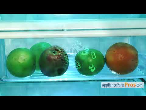 Expert Tips for Refrigerator Temperature Control