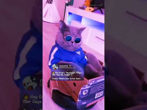 Hey Google 🤪#instagram#reels#status#aesthetic#tweetreels#faketweet#trending#google#funny#shorts