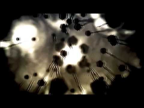 Björk - Cosmogony - Music Video