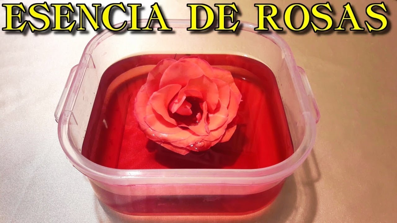 COMO HACER ESENCIA DE ROSAS es muy fácil de hacer y rápida