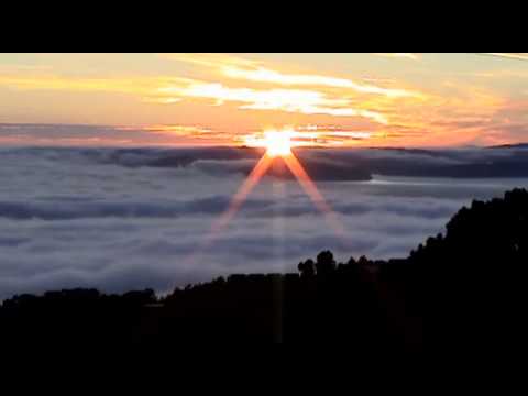 Fog Patterns of the SF Bay