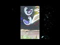Earl Sixteen (16) + Mad Professor - Dub Follows (If I Follow My Heart) - Ariwa Records