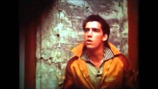 Tennessee - Tu Imagen De Rocker