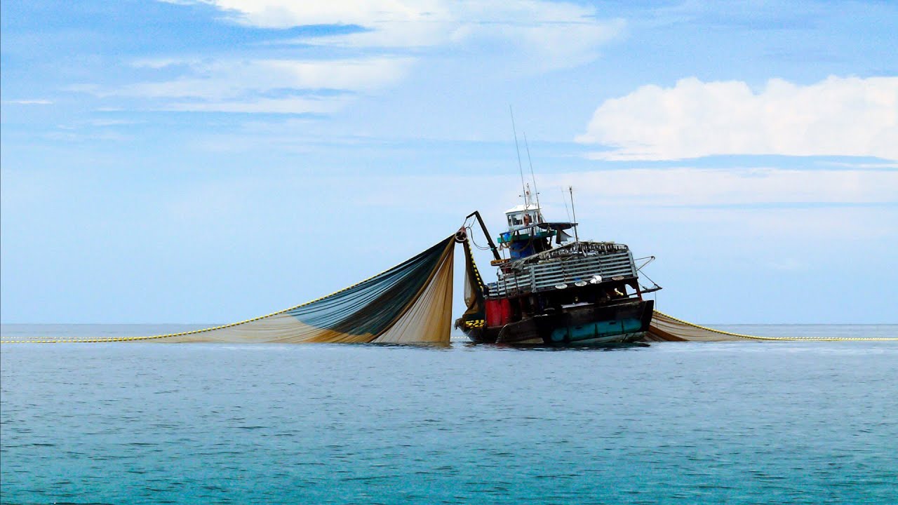 Somalia bans fishing trawlers in its territorial waters