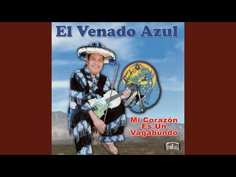 Mi Corazón Es un Vagabundo