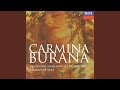 Orff: Carmina Burana / 3. Cour d'amours: XVIII. Circa mea pectora