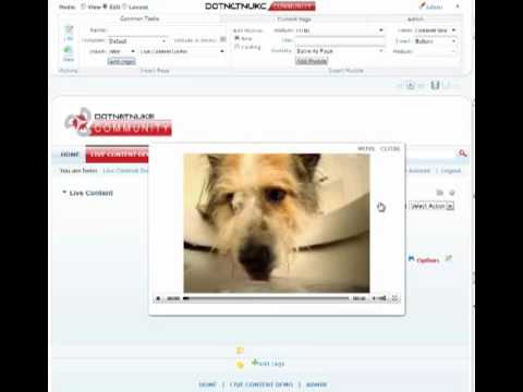 Live Content - eVideo Element | DotNetNuke Module | Mandeeps.com