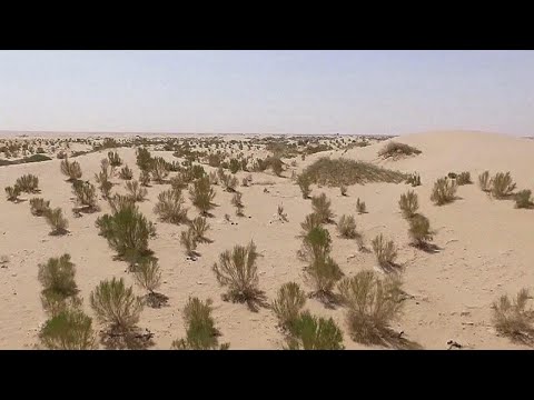 Le furie della natura II - 04 Desertificazioni
