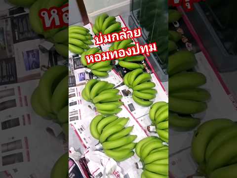 #วิธีบ่มกล้วยหอมทองปทุม #บ่มให้ลูกค้า#เกษตรมือใหม่ #กล้วยหอมทองปทุม