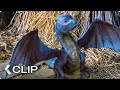 Feeding A Dragon Movie Clip Eragon 2006