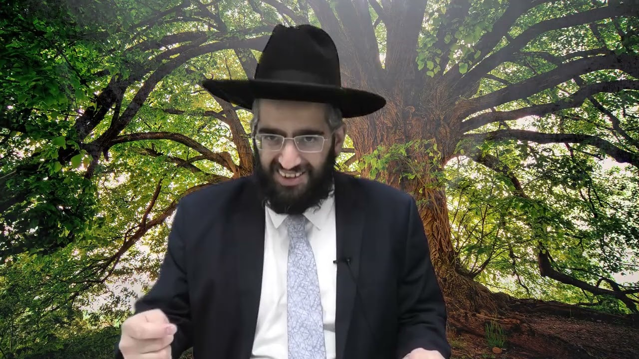 תכיל את עצמך | מתיקות התניא עם הרב אלרועי כהן