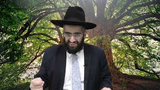 תכיל את עצמך | מתיקות התניא עם הרב אלרועי כהן (מוסדות כיסא רחמים) - התמונה מוצגת ישירות מתוך אתר האינטרנט יוטיוב. זכויות היוצרים בתמונה שייכות ליוצרה. קישור קרדיט למקור התוכן נמצא בתוך דף הסרטון