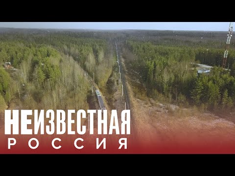 Нескорый поезд Тихвин—Будогощь | НЕИЗВЕСТНАЯ РОССИЯ