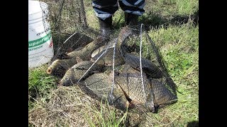 Где ловиться рыба в тамбовской области