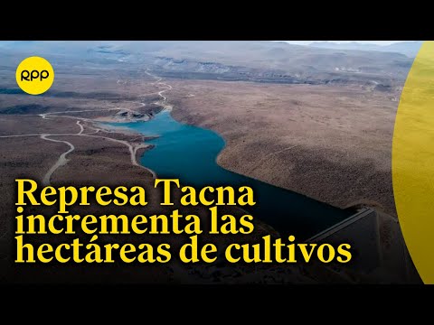 Southern impulsa el crecimiento agrícola con megaproyecto de represa en Tacna