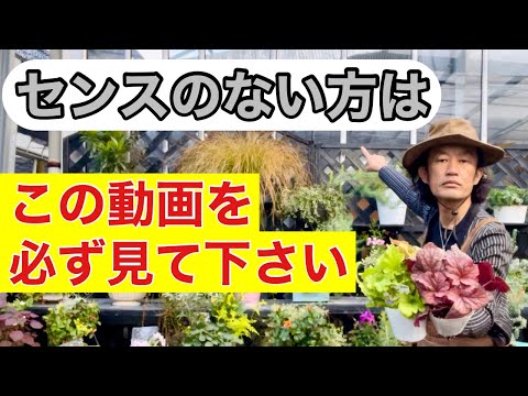 色と緑を組み合わせるために、鹿に強い日陰植物はどれを選ぶべきですか?反芻動物を撃退する6種  庭園
