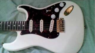 Fender Stratocaster Project  | Partscaster |