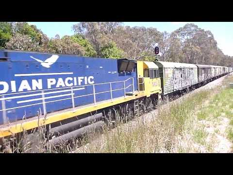 A fresh combo on 5PM5 at Balhannah - 17/11/19