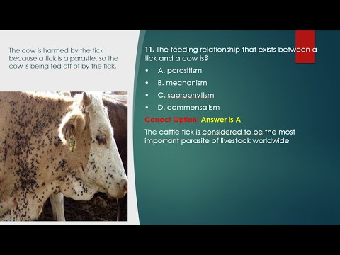 Biology 2022 JAMB Past Questions and Answers | Questions 1 - 42