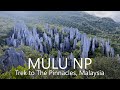 [Travel vlog] Tough Trek to The Pinnacles | Gunung Mulu National Park, Borneo Malaysia