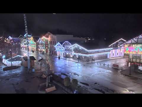 The Rhein Haus thumbnail