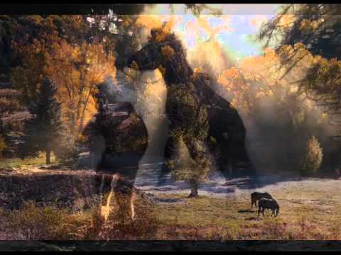 Prohanter-Chase(origi-Trance Atlantic Airwaves.avi