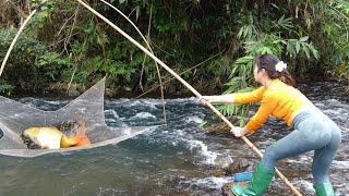 Top Fishing Videos: Best Fishing Skills, Amazing Fishing Techniques Catching Huge Fish
