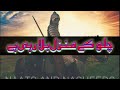 Chalo Ke Manzil Bula Rahi Urdu Tarana